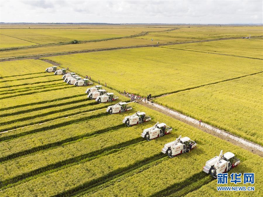 （新华全媒头条·图文互动）（15）奋斗结硕果，再写新篇章——写在共和国71周年华诞之际